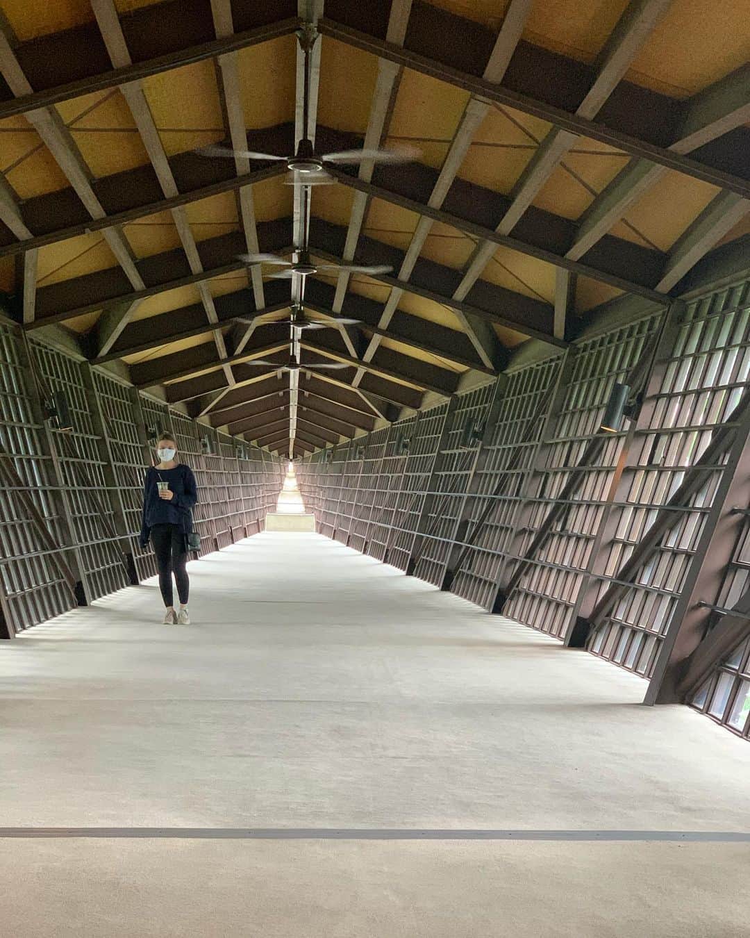 ホーランド・ロデンのインスタグラム：「What 2020 feels like...」