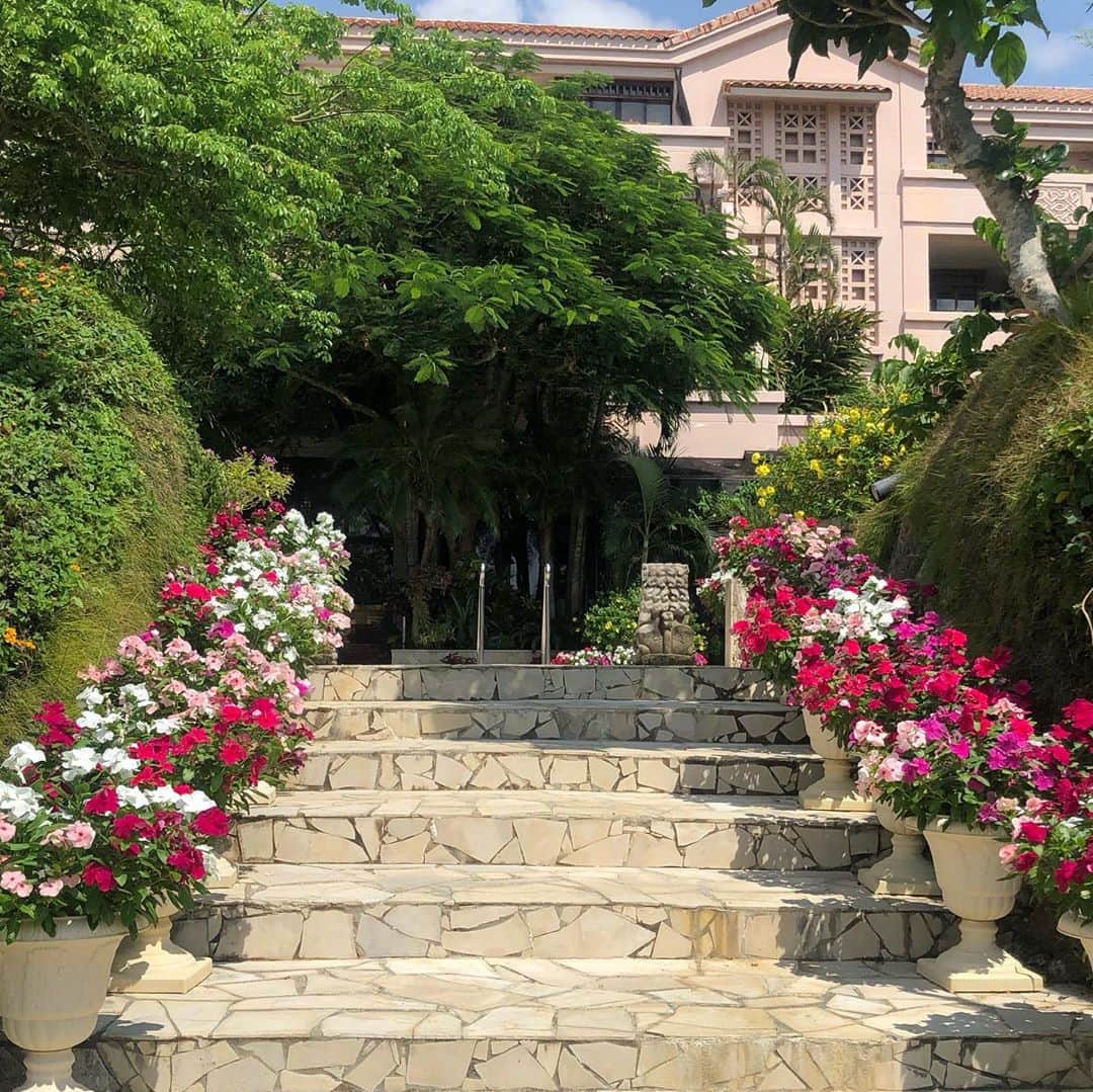 雨宮朋絵さんのインスタグラム写真 - (雨宮朋絵Instagram)「ホテルの植栽がカラフルでとても可愛いかった。 原色のお花はリゾートの高揚感をましてくれる。 ショッキングピンクの日々草は来年の夏はうちはベランダにも取り入れたいな。」9月25日 13時53分 - amemiyatomoe