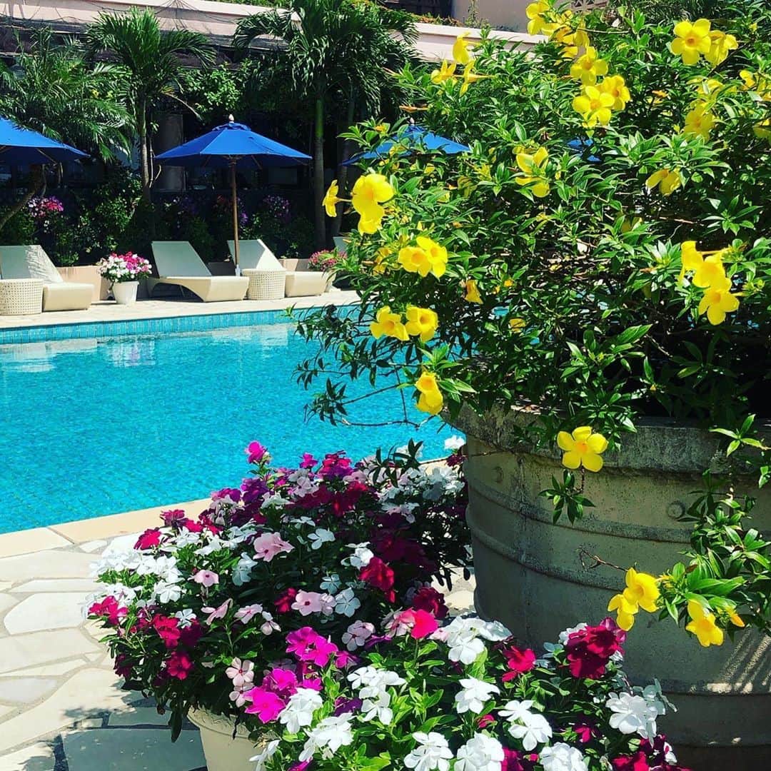 雨宮朋絵のインスタグラム：「ホテルの植栽がカラフルでとても可愛いかった。 原色のお花はリゾートの高揚感をましてくれる。 ショッキングピンクの日々草は来年の夏はうちはベランダにも取り入れたいな。」