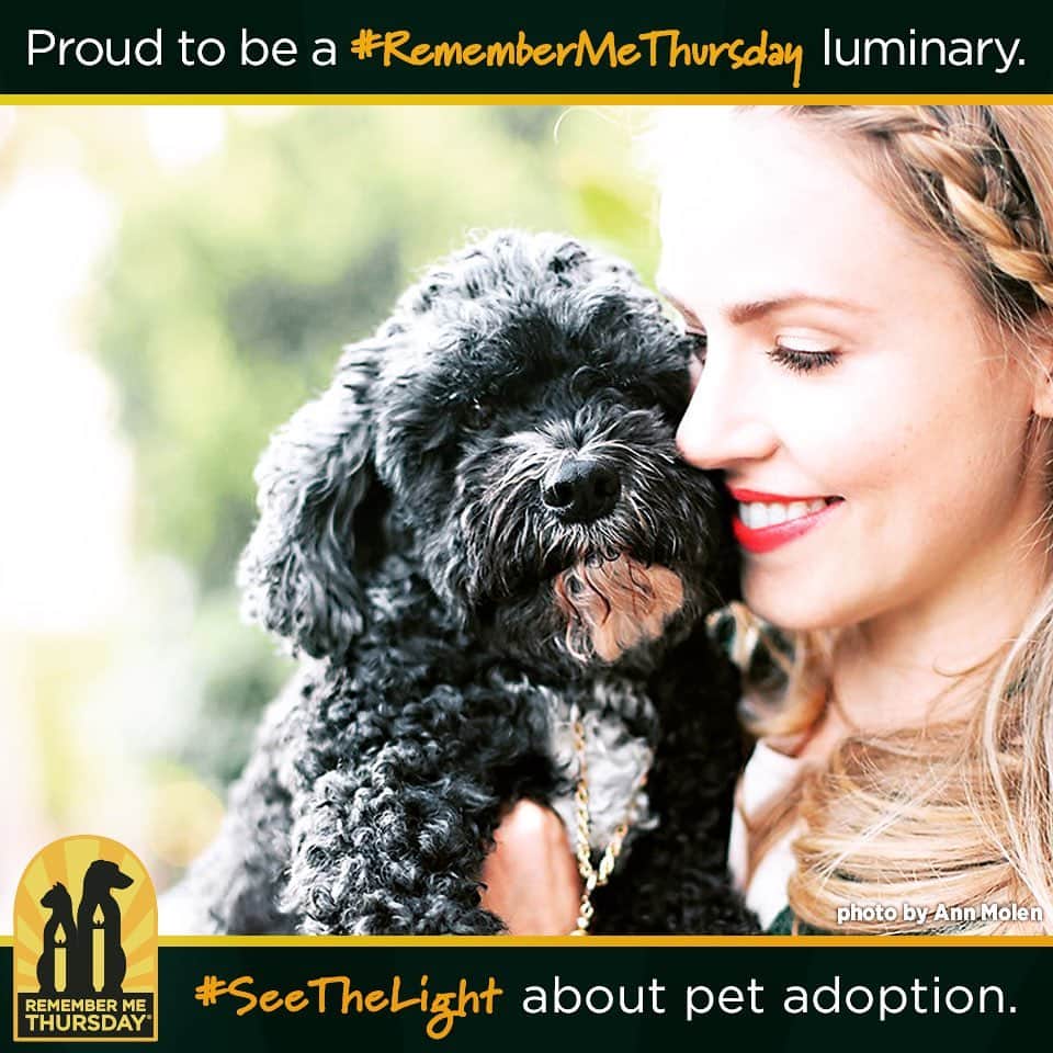 アマンダ・シュルのインスタグラム：「Today is #RememberMeThursday. • • Our pets support and love us unconditionally because they see the best in us. They reflect everything that is good in this world and give us a companionship that is uninhibited and pure. Rupert has been my best friend for more than 17 years. He has been my support system through more formative events than anyone else. On Remember Me Thursday™, I encourage others to adopt a best friend who can provide a love as fulfilling as I have been lucky enough to experience with Ru. • • 📸: @annmolenphoto」