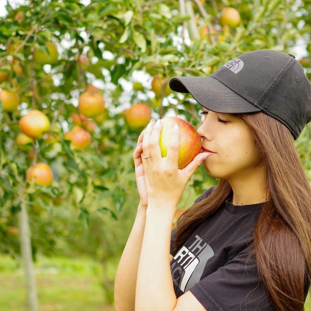 LDH kitchenさんのインスタグラム写真 - (LDH kitchenInstagram)「. @ldhfarm_official  🚛〜LDH farm〜🚛 ・ 《Farmers Market》 ・ 【amanacciのシナノドルチェりんご 】 ・ りんごの産地として有名な長野県の「マルヤマフルーツ農園」がお届けするは、シナノドルチェ(りんご)🍎 ・ シナノドルチェは、2005年に品種登録された長野県生まれのりんごで、「ゴールデンデリシャス」と「千秋」を交配させたもので、大きく赤くて明瞭な縞があるのが特徴です‼︎・ 果肉の硬さは中程度、果肉のきめはやや粗めですが、香りが良く、果汁の量が多く、糖度と酸味のバランスが取れたりんごです🍎・ 蜜は入りませんがジューシーで甘味と共にやや強い酸味で、りんごらしい甘酸っぱさとパリッとした食感が楽しめ、香りが良いのも特徴です😋・ 名前は長野県の「信濃（しなの」とイタリア語のスイーツを表す「ドルチェ」を組み合わせて付けられ、元長野県知事の田中康夫氏が命名された事でも話題になりました🧐・ りんごを愛してやまない生産者のamanacci（天野奈津美）さんオススメ、りんご好きにはたまらない、甘みと酸味のバランスのとれたシナノドルチェをぜひ一度お試しください🎶・ ・ ・ LDH farmでは、全国の素晴らしい生産者との取り組みとして、産地直送の農産物を販売しております。・ ・ 注文方法や詳細は、LDH farmのホームページより、ご確認ください。 ・ ・ 【商品詳細】・ amanacciのシナノドルチェりんご 贈答用5kg (約14～20玉)・ ※サイズはおまかせとなります。・ 4,054円(税込4,378円) ・ 【送料】・ 送料込み🚛 ・ 【生産地】・ 長野県上水内郡飯綱町　 (マルヤマフルーツ農園) ・ ・ ■ご注文：LDH farm（https://www.ldhfarm.co.jp/product/） ・ __🍎🍎🍎🍎🍎🍎🍎__ ・ @ldhfarm_official ・ のプロフィールURLからご購入いただけます🤗 ____________________________________ #LDHfarm #FarmersMarket #eatveggies #おうち時間 #LDHJAPAN #LDHkitchen #マルヤマフルーツ農園 #長野県 #上水内郡 #飯綱町 #旬の果物 #シナノドルチェ #りんご #amanacci #農業女子」9月25日 9時06分 - ldhkitchen_official