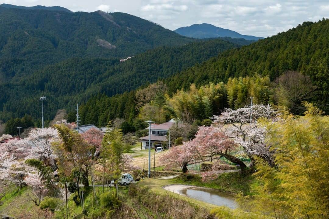 Satoyama推進コンソーシアムのインスタグラム：「#三重県 #三多気 の #桜 （Satoyamaフォトコンテスト2020 自治体部門　代理投稿作品）  ★Satoyama & Satoumi Photo Contest 2020 https://satoyama-satoumi.net/contest/photo2020/（日本語） https://satoyama-satoumi.net/global/contest/photo2020/（English） ⠀ ⠀⁠⠀ #jtsatoyama2020 #satoyama #photocontest #photo⠀⁠⠀ #satoumi #japan #landscape #japan_visit #Lovers_Nippon #daily_photo_jpn #naturephotography #フォトコンテスト #フォトコン⠀⁠⠀ #写真⠀⁠⠀ #カメラ⠀⁠⠀ #里山⠀⁠⠀ #里海⠀⁠⠀ #風景⠀⁠⠀ #風景写真⠀⁠⠀ #日本の絶景⠀⁠⠀ #日本の美しい風景⠀⁠⠀ #田舎⠀⁠⠀ #田舎暮らし」