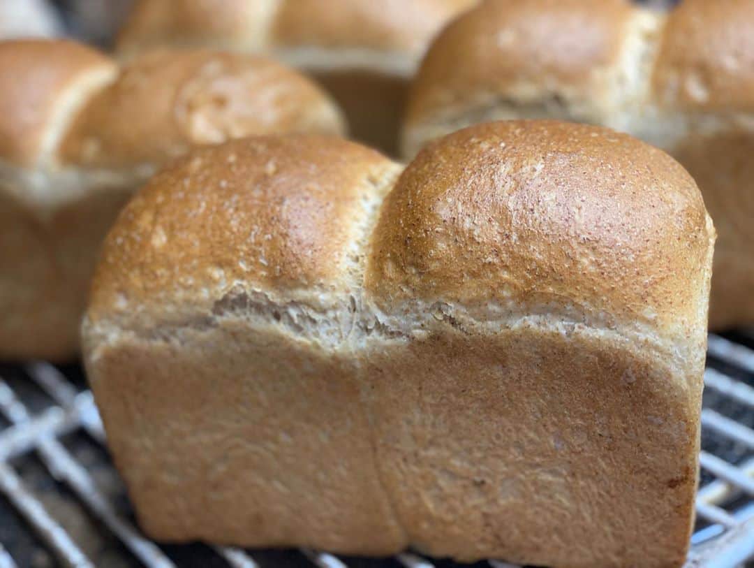 魔女菅原のグルメインスタ