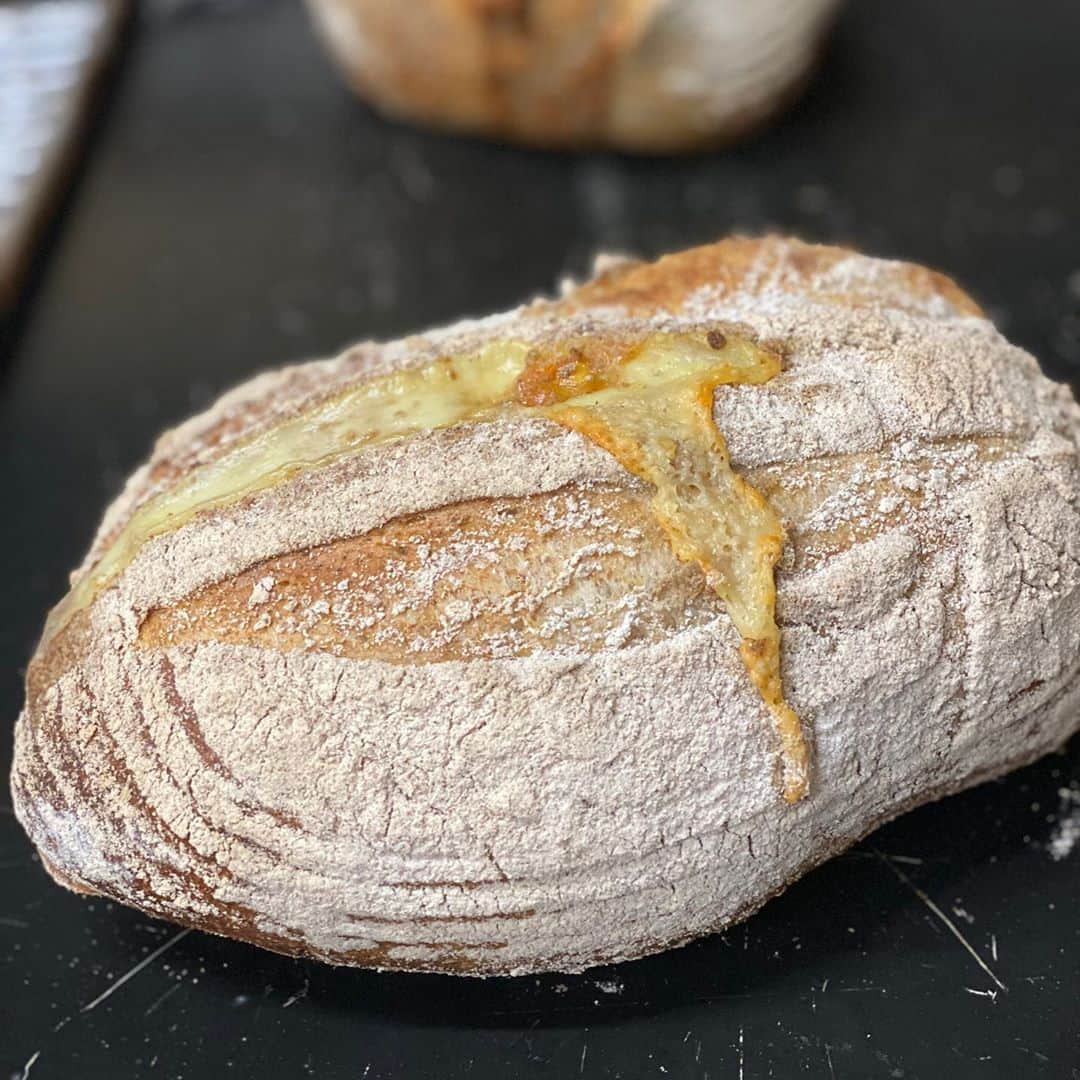 魔女菅原のグルメインスタ