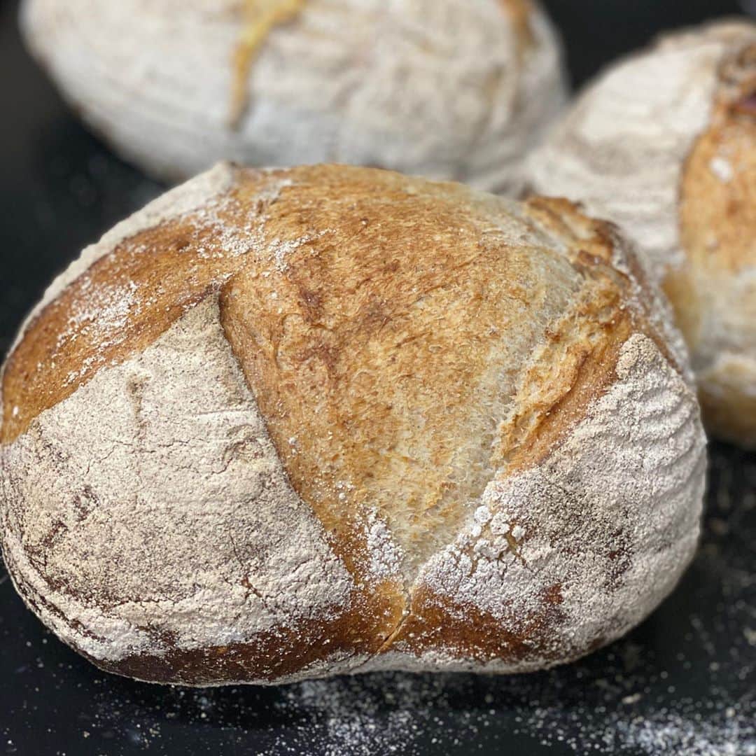 魔女菅原のグルメインスタ