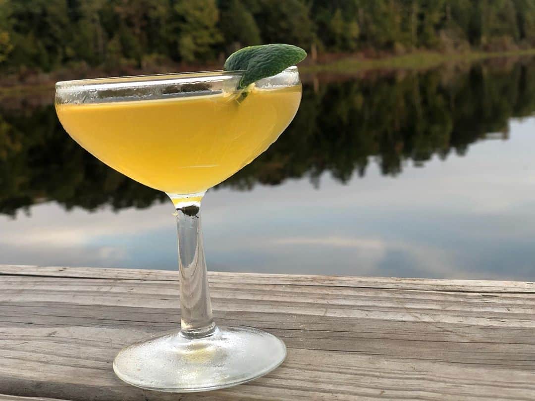 マーシャ・ゲイ・ハーデンのインスタグラム：「#polyjuicepotient anyone? FOR @yoolayla’s 22nd birthday- honoring Harry potter and #beeskneesweek2020! Using #tomcat #barrhillgin plus a bit of #chartreuse, apple juice and lime! Umm- it’s def transfiguring! For every tagged photo w #beeskneesweek2020 - they (Barr hill Gin) will plant 10 ft.² of BEE habitat! So mix  a cocktail and start saving some bees!」