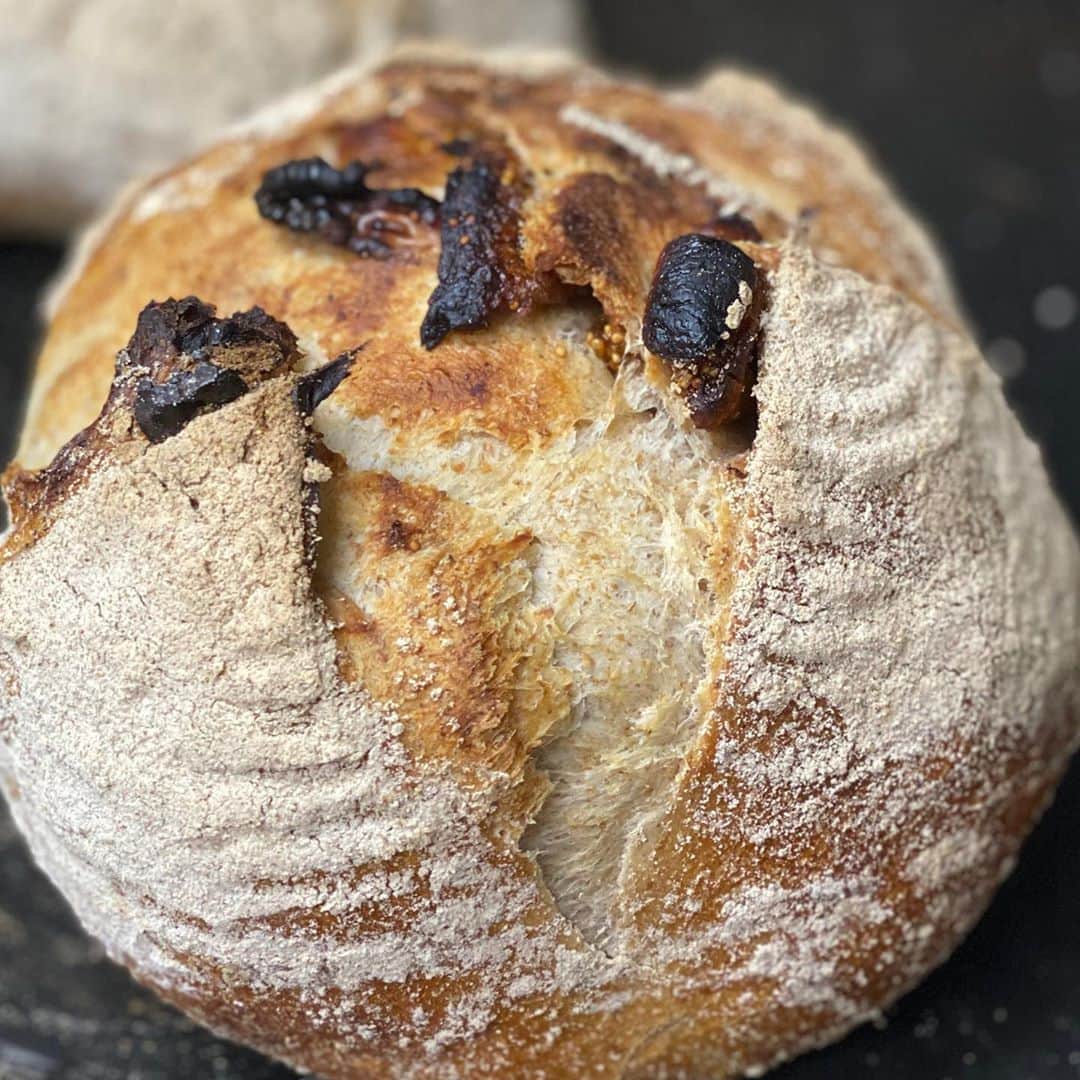 魔女菅原のグルメインスタ