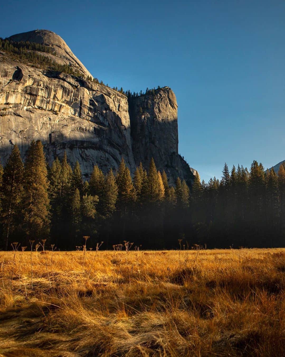 patagoniaさんのインスタグラム写真 - (patagoniaInstagram)「"Every year, as the light starts to turn from green to golden, a seasonal migration of itinerant climbers make their way to Yosemite Valley. They share campsites and meals, trick-or-treat with their kids in Ranger Village, put up new routes and repeat favorites. Arriving as the crowds of summer start to thin, they are a community that will be here together until the snow starts to fall and the migration moves onward.⁠⠀ ⁠⠀ Photos: @eliza_earle @austin_siadak @_drew_smith_⁠⠀ These images were taken during the 2019 fall climbing season in the Valley. It’s been only a year, and yet they feel a world away all ready."」9月25日 10時54分 - patagonia