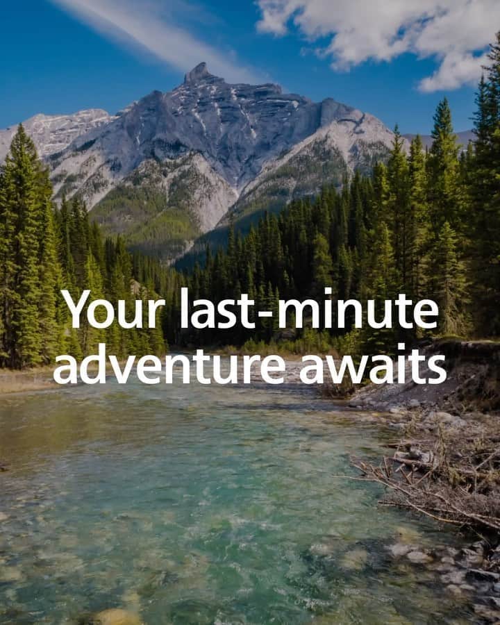 アメリカン航空のインスタグラム：「We think you really autumn know about these low fares for fall. Visit our Fall Flight Deals link in bio. #YouAreWhyWeFly」