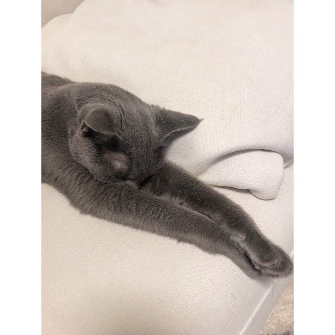 山崎紘菜のインスタグラム