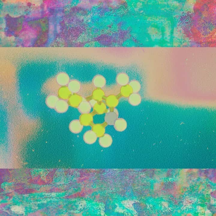 ノーマのインスタグラム