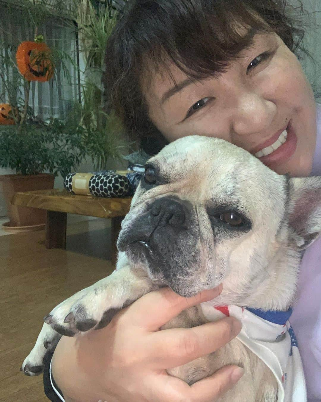 北斗晶さんのインスタグラム写真 - (北斗晶Instagram)「花ちゃん、梅ちゃん 元気です❤️  #愛犬  #花  #梅  #ただいま」9月25日 21時55分 - hokutoakira_official