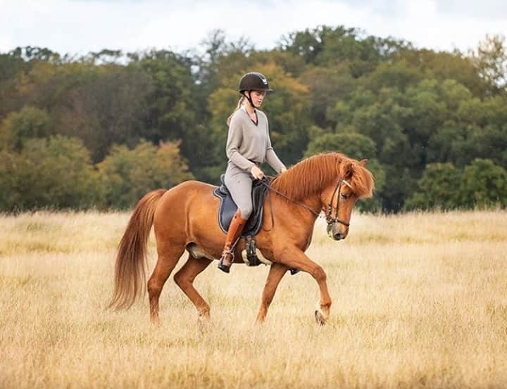 アルベルトファッシャーニさんのインスタグラム写真 - (アルベルトファッシャーニInstagram)「Dream 🐎⁠ @icelandic_horse_kiljan ⁠ ⁠ #riding #passion #equestrian #life #wilderness #naturelovers #albertofasciani」9月25日 21時50分 - albertofasciani_official