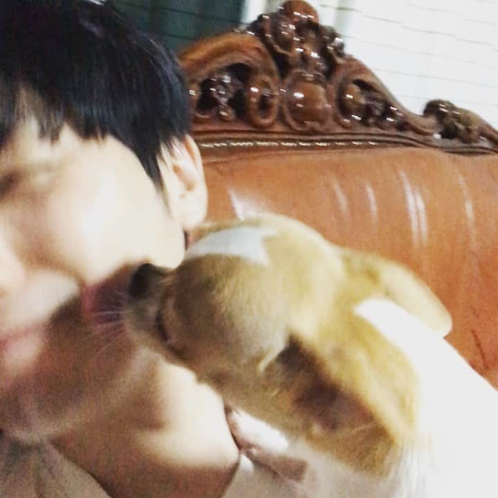 イ・スンヒョのインスタグラム：「오랜만에 내려왔는데 공격당함. #충주」
