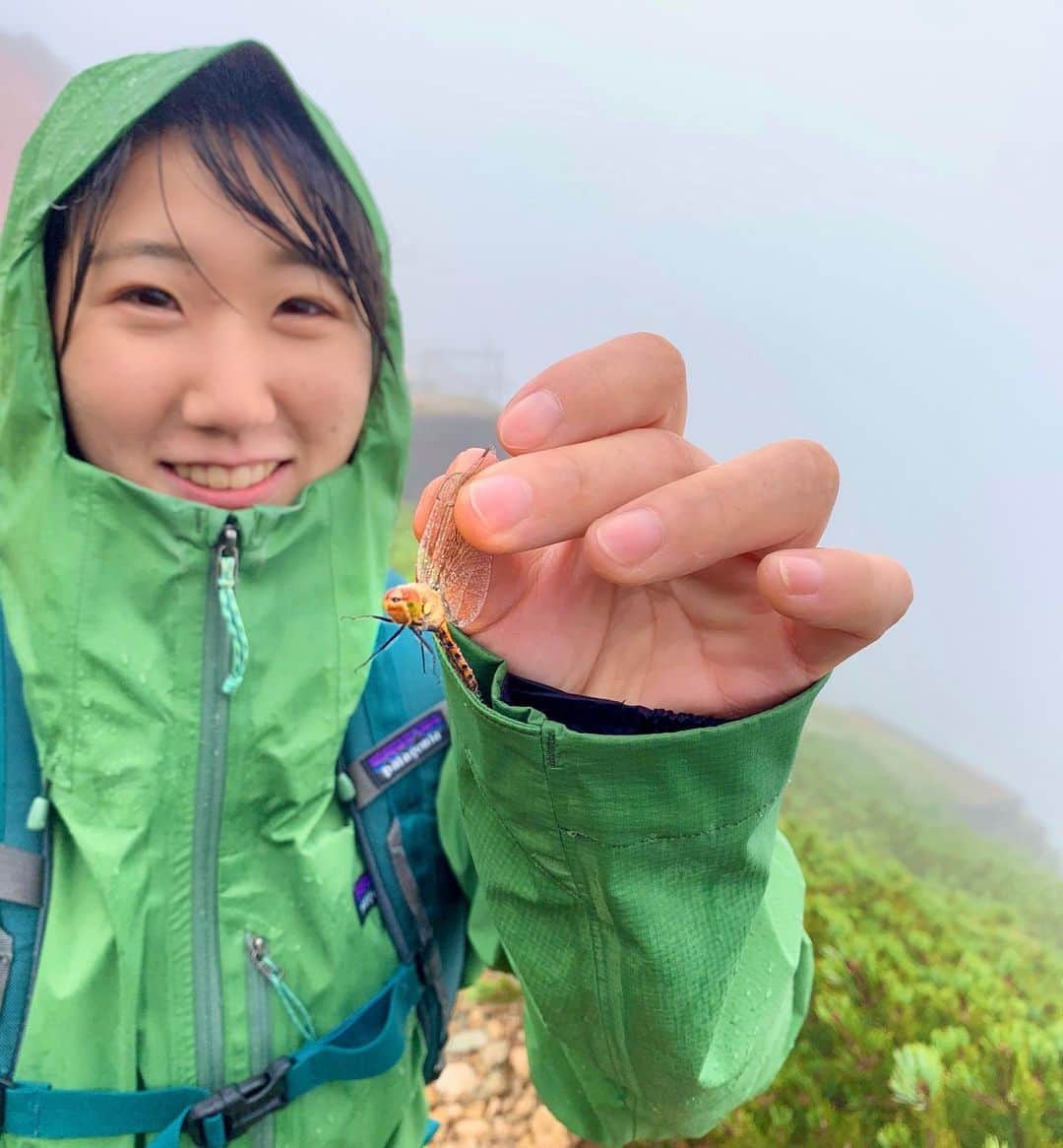 尾上彩さんのインスタグラム写真 - (尾上彩Instagram)「🗻ʚïɞ🌿 ・ 雨に濡れて飛べなくなってたところを救助して濡れない場所へ…☔️🌿 ・ @patagoniajp @patagonia_climb #hike #登山 #ハイキング」9月25日 22時11分 - aya_onoe