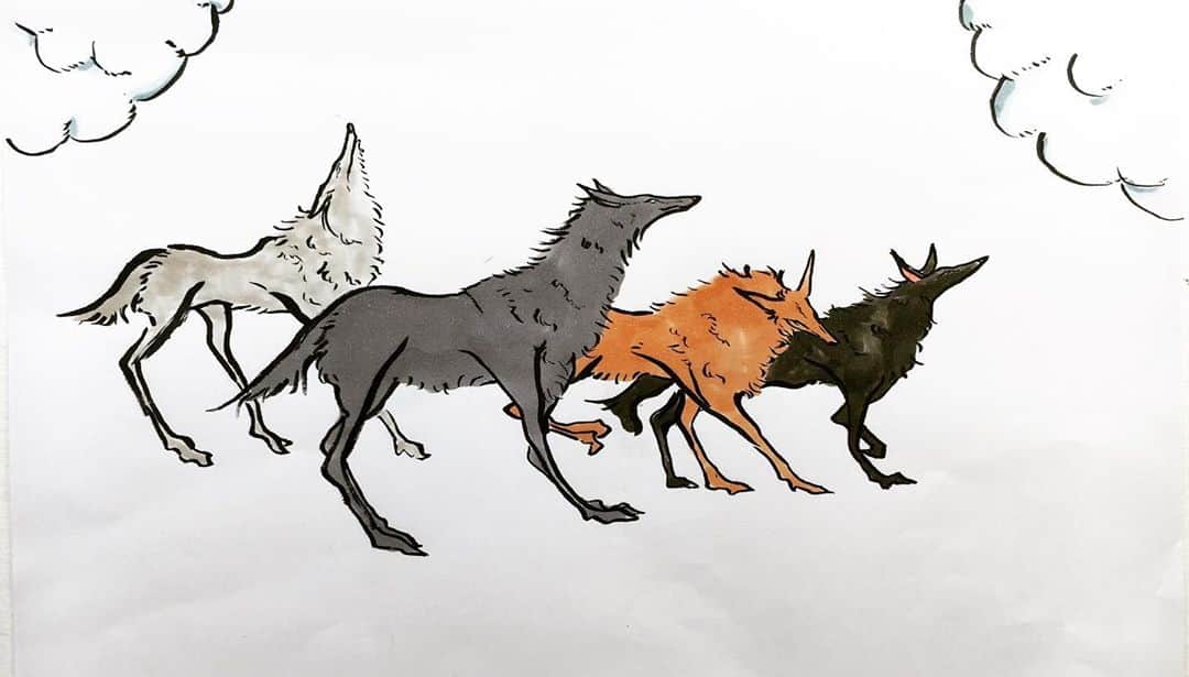 LiLi （矢野り々子）さんのインスタグラム写真 - (LiLi （矢野り々子）Instagram)「狼 Wolves  lili 13yrs old.  #狼 #wolves  #矢野り々子」9月25日 22時22分 - liliko.y