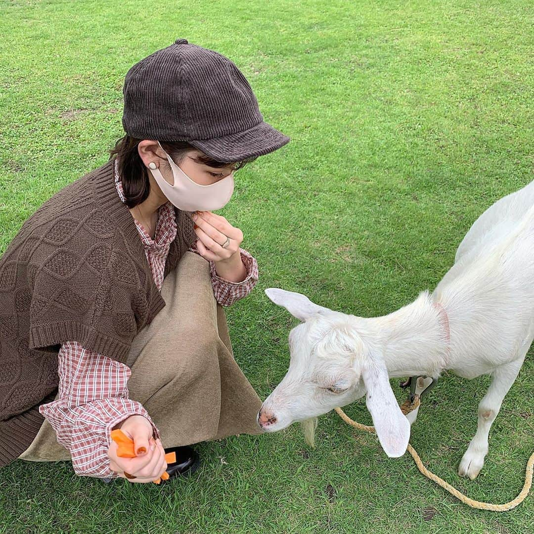 きりまるさんのインスタグラム写真 - (きりまるInstagram)「. . このまえ全身エヘカコーデで 動物さんとふれあいに行ったら ヤギ使いみたいになった🐑🦙🐇🐐  そんで見事に ほぼ半目。おめでとう👏🏻👏🏻 ここまでの半目率なかなかおらんやろ  安定のくもりで 安定のアプリの力で晴れさせました👏🏻 (さいごの写真) PICNICってアプリ！無限に晴れさせれる。笑 . .」9月25日 22時26分 - kirimaruuu