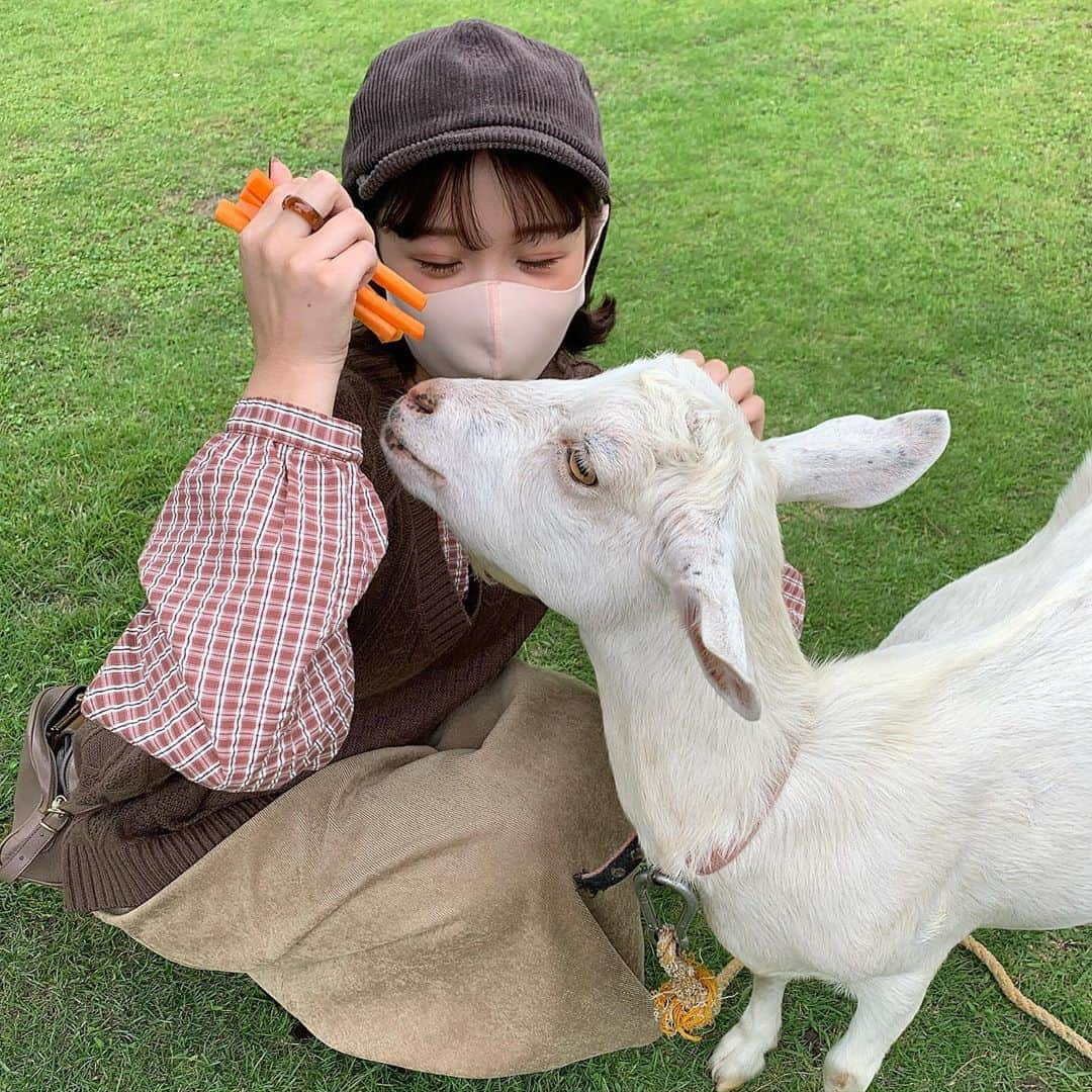 きりまるさんのインスタグラム写真 - (きりまるInstagram)「. . このまえ全身エヘカコーデで 動物さんとふれあいに行ったら ヤギ使いみたいになった🐑🦙🐇🐐  そんで見事に ほぼ半目。おめでとう👏🏻👏🏻 ここまでの半目率なかなかおらんやろ  安定のくもりで 安定のアプリの力で晴れさせました👏🏻 (さいごの写真) PICNICってアプリ！無限に晴れさせれる。笑 . .」9月25日 22時26分 - kirimaruuu