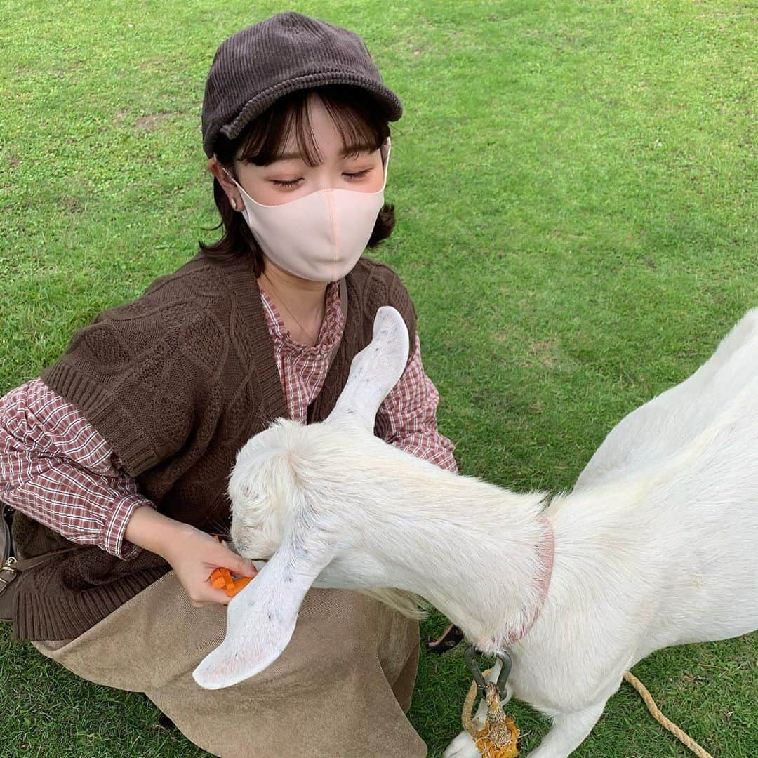 きりまるさんのインスタグラム写真 - (きりまるInstagram)「. . このまえ全身エヘカコーデで 動物さんとふれあいに行ったら ヤギ使いみたいになった🐑🦙🐇🐐  そんで見事に ほぼ半目。おめでとう👏🏻👏🏻 ここまでの半目率なかなかおらんやろ  安定のくもりで 安定のアプリの力で晴れさせました👏🏻 (さいごの写真) PICNICってアプリ！無限に晴れさせれる。笑 . .」9月25日 22時26分 - kirimaruuu