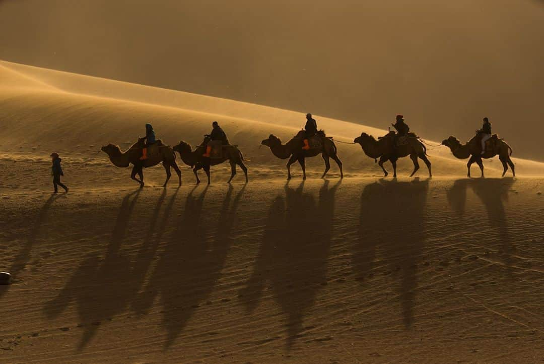 Michael Yamashitaさんのインスタグラム写真 - (Michael YamashitaInstagram)「Look familiar? If you’ve seen this year’s remake of Disney’s 1998 animated feature Mulan, you might recognize these Mingsha Shan sand dunes used as backdrops in the movie. Oddly enough most of the film was shot in New Zealand. #mingshashan  #gansu #taklamakandesert #mulan」9月25日 22時43分 - yamashitaphoto