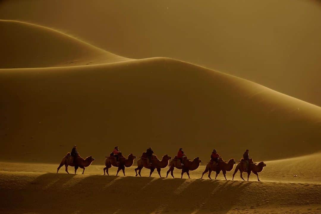 Michael Yamashitaさんのインスタグラム写真 - (Michael YamashitaInstagram)「Look familiar? If you’ve seen this year’s remake of Disney’s 1998 animated feature Mulan, you might recognize these Mingsha Shan sand dunes used as backdrops in the movie. Oddly enough most of the film was shot in New Zealand. #mingshashan  #gansu #taklamakandesert #mulan」9月25日 22時43分 - yamashitaphoto