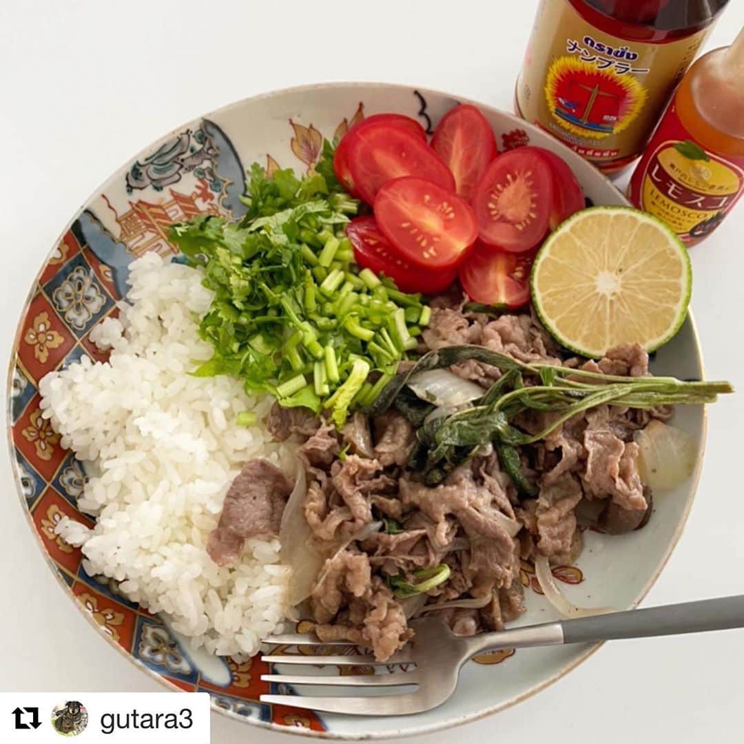 のインスタグラム：「. @gutara3 様ありがとうございます！ すっぱ辛いレモスコREDはお肉とも相性抜群です✨😍 ・・・ 過日の オリジナル 手抜き #ビーフライス 🐮 #和牛 切り落とし🥩 玉葱に マッシュルーム 平茸 キノコ色々…🍄🧅 バター塩胡椒 #セージ で炒めて🧈🌿 白トリュフオイル トリュフ塩 で より香り高く🍄🍄 #パクチー 🌿 #レモン 汁🍋もいいけれど ピリ辛#レモスコ @yamatofoods も合う🍋 #ナンプラー または #ヌクマム の魚醤🐟も🤤　 モロヘイヤ のお味噌汁が染みる…😂 #古伊万里 の皿で👘 蒸し暑い時期は 牛丼 すき焼き丼 も重いけれど 此方は爽やかさっぱり🍋 #coriander#beef#mushrooms  #gourmet#foodie#食いしん坊 #おうちごはん #yummy#楽チン　 #グータラ家飯　 #古伊万里 #骨董#antique #うつわ #うつわ好き」