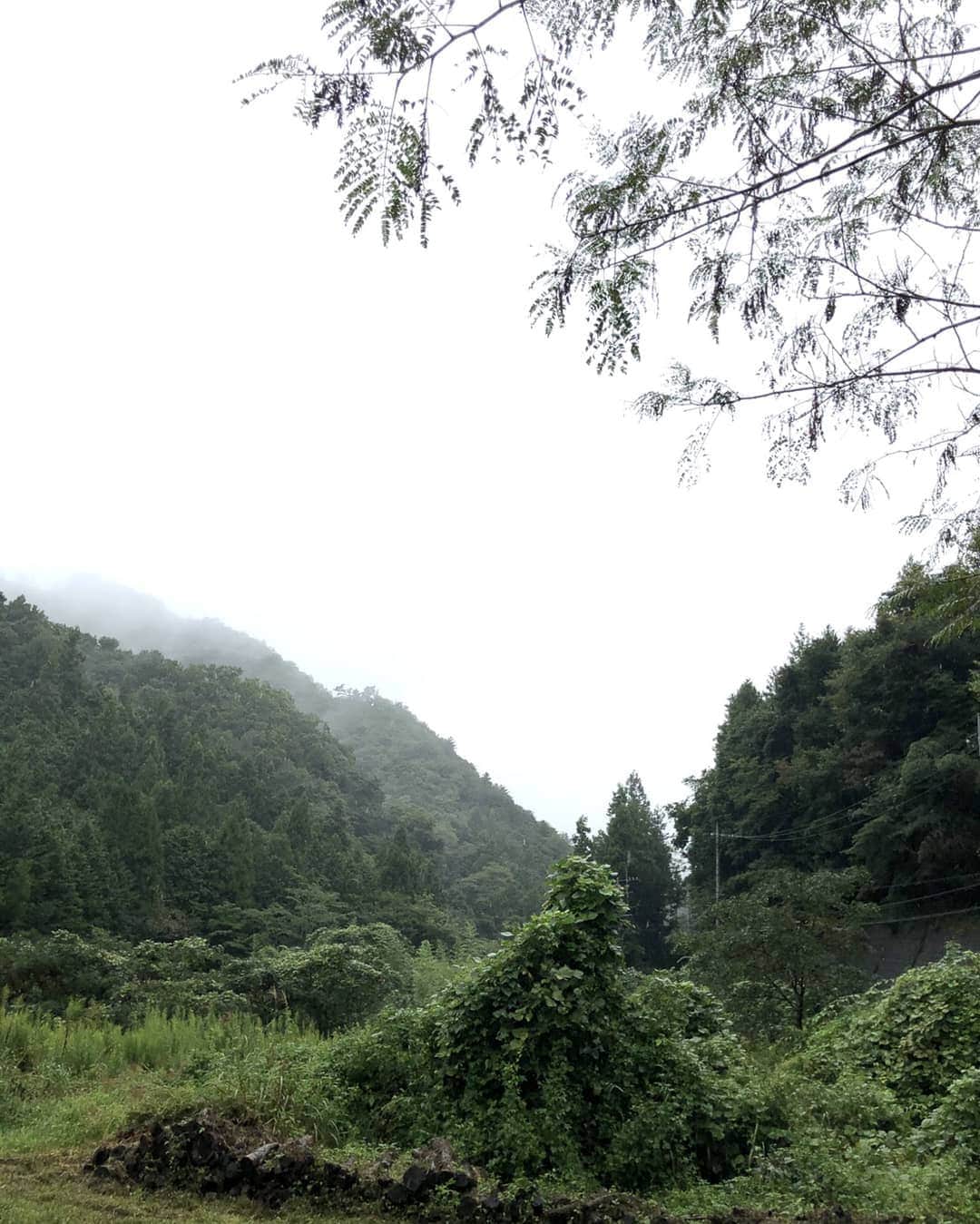 光石研のインスタグラム：「東京近県✌️雨模様。9月に入って、またまた色々動いております✌️ 【by 光石】」