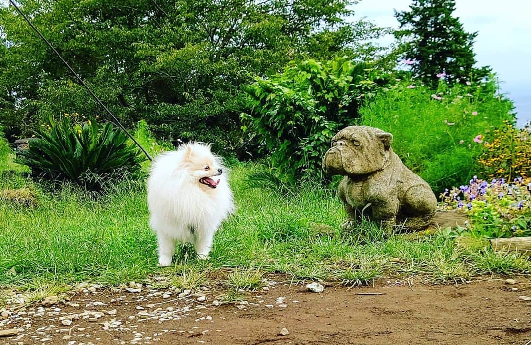 京野美麗さんのインスタグラム写真 - (京野美麗Instagram)「👀 Friends on stone…」9月25日 15時48分 - latte_ishiteru