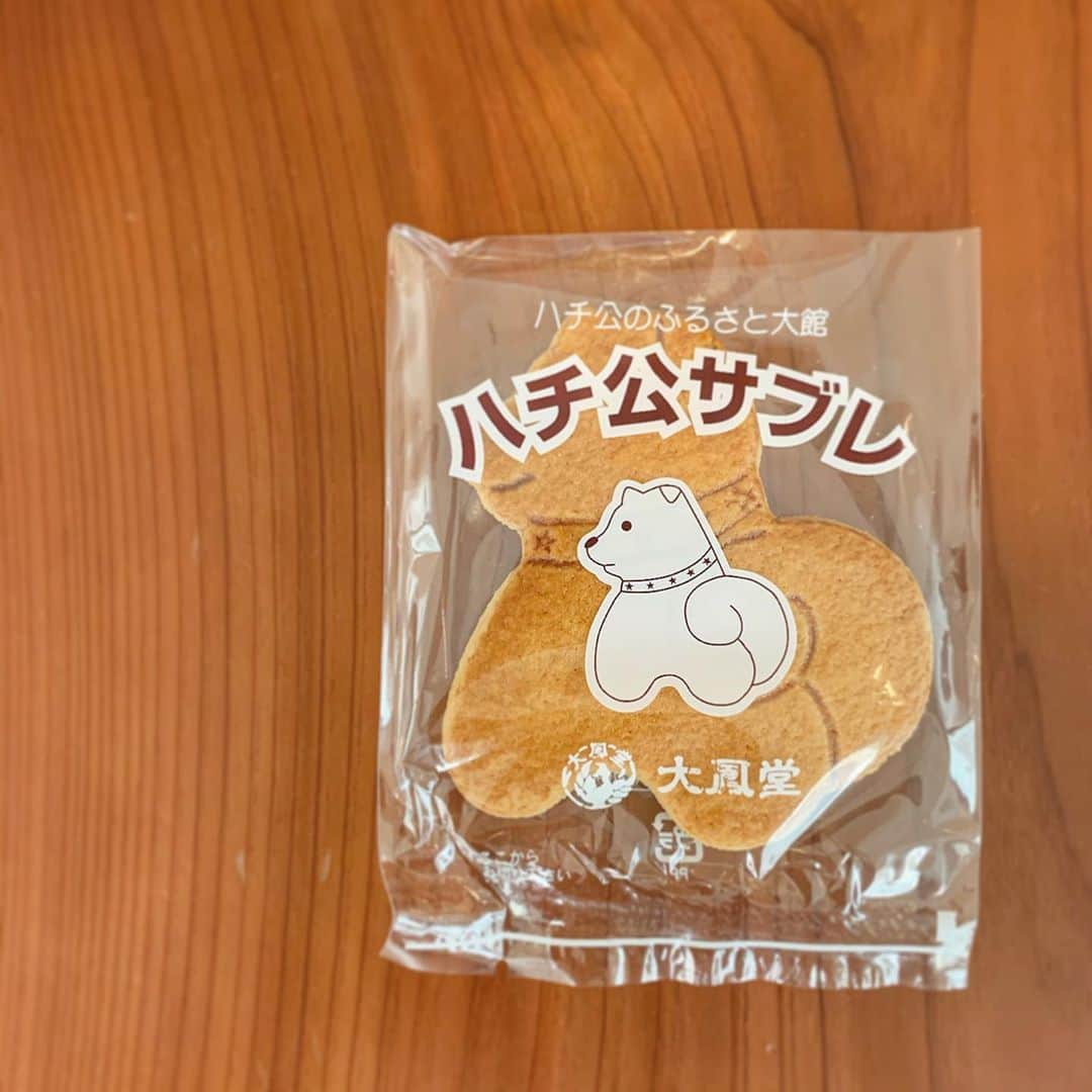 百瀬俊介のインスタグラム：「昨年から観光大使を務める秋田県大館市からお客様が来訪✈︎🐕 今日は大館市観光交流スポーツ部・スポーツ振興課との会合でした。 スポーツ庁との連携も踏まえた活動となるのでまた一つスポーツによる地域活性化に向けた活動の幅を広げられるということにやりがいと楽しみが増えました！ これから検討委員会にも参画し大館市のスポーツ振興に尽力していきたい思います。 さて、お土産でいただいた大鳳堂さんのハチ公サブレいただこう〜😋  #秋田県 #大館市 #観光大使 #スポーツコミッション #地域活性化 #スポーツ交流 #スポーツツーリズム #お土産 #ハチ公サブレ #大鳳堂」