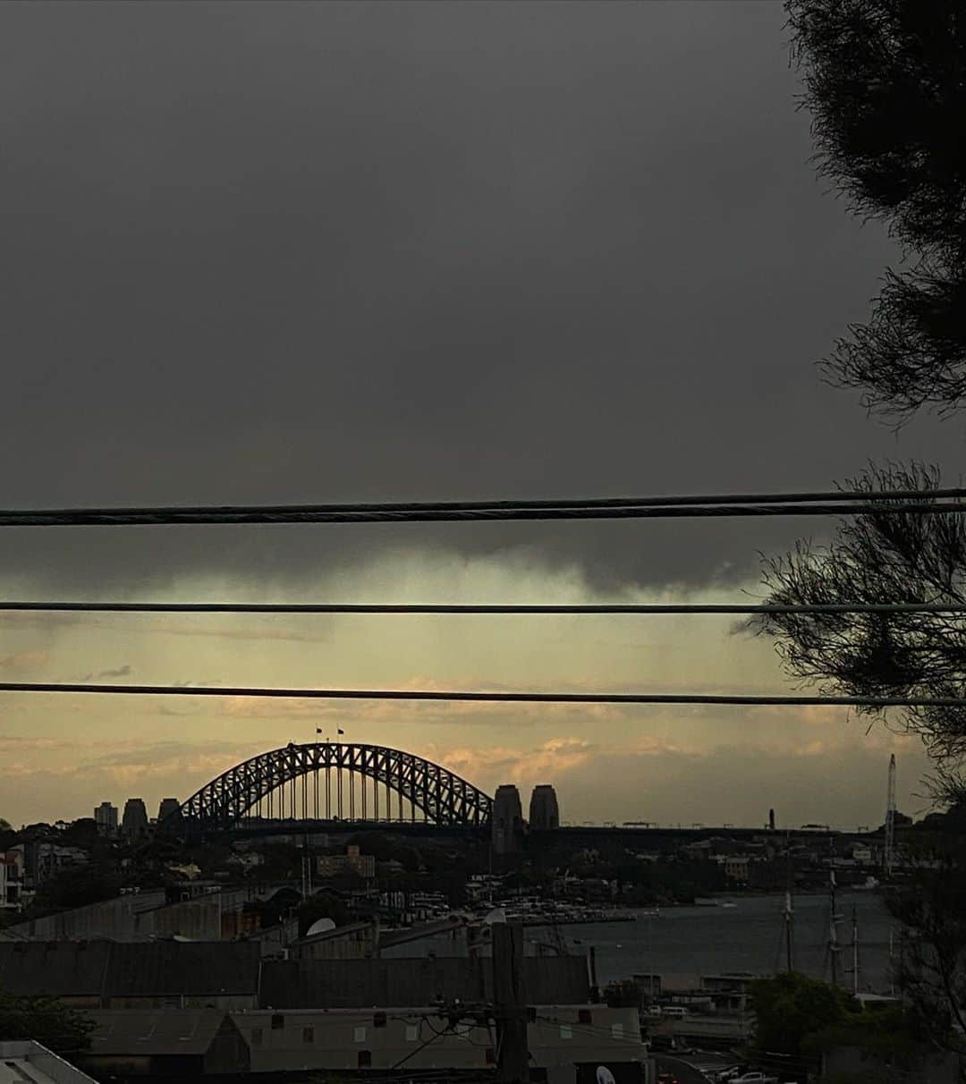 リリーマイマックのインスタグラム：「Views from my balcony」