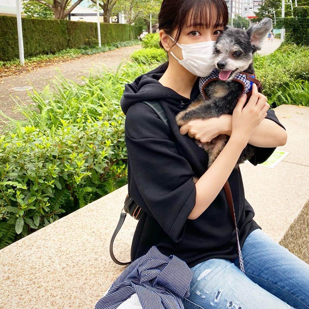 神室舞衣のインスタグラム：「最近写真撮るモチベーションなくて あげる写真がないからたまに遡って行く時あります☺︎  トリミングとお散歩終わってお疲れの花まるとギューって抱きしめたい私 観察していると犬や猫とかたぬきとか、動物達も感情が顔に出るのわかってきますよね  鳥とかもそうなのかしら。」