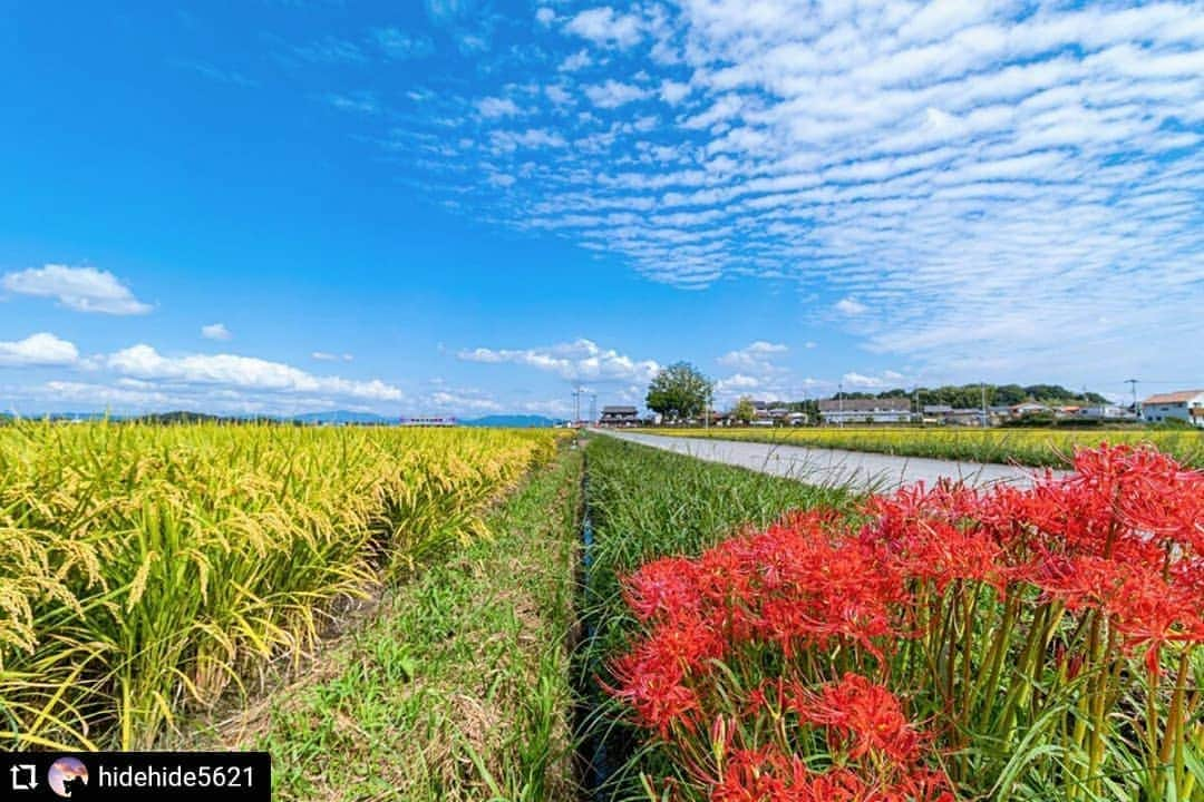 兵庫県のインスタグラム