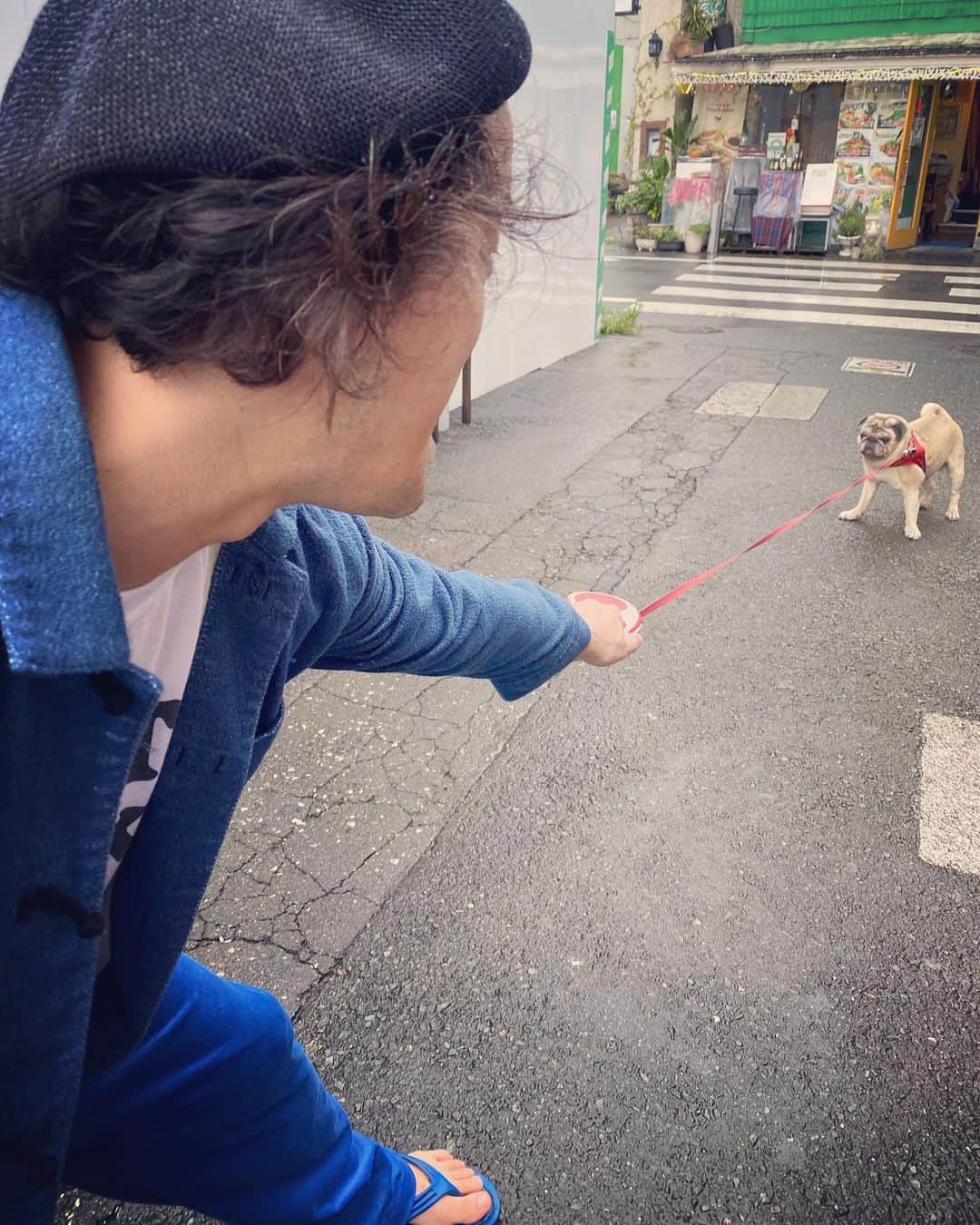 やついいちろうさんのインスタグラム写真 - (やついいちろうInstagram)「全然動かない  #pug #pugs #puglife #puglove #パグ #パグスタグラム」9月25日 16時53分 - yatsuiichiro