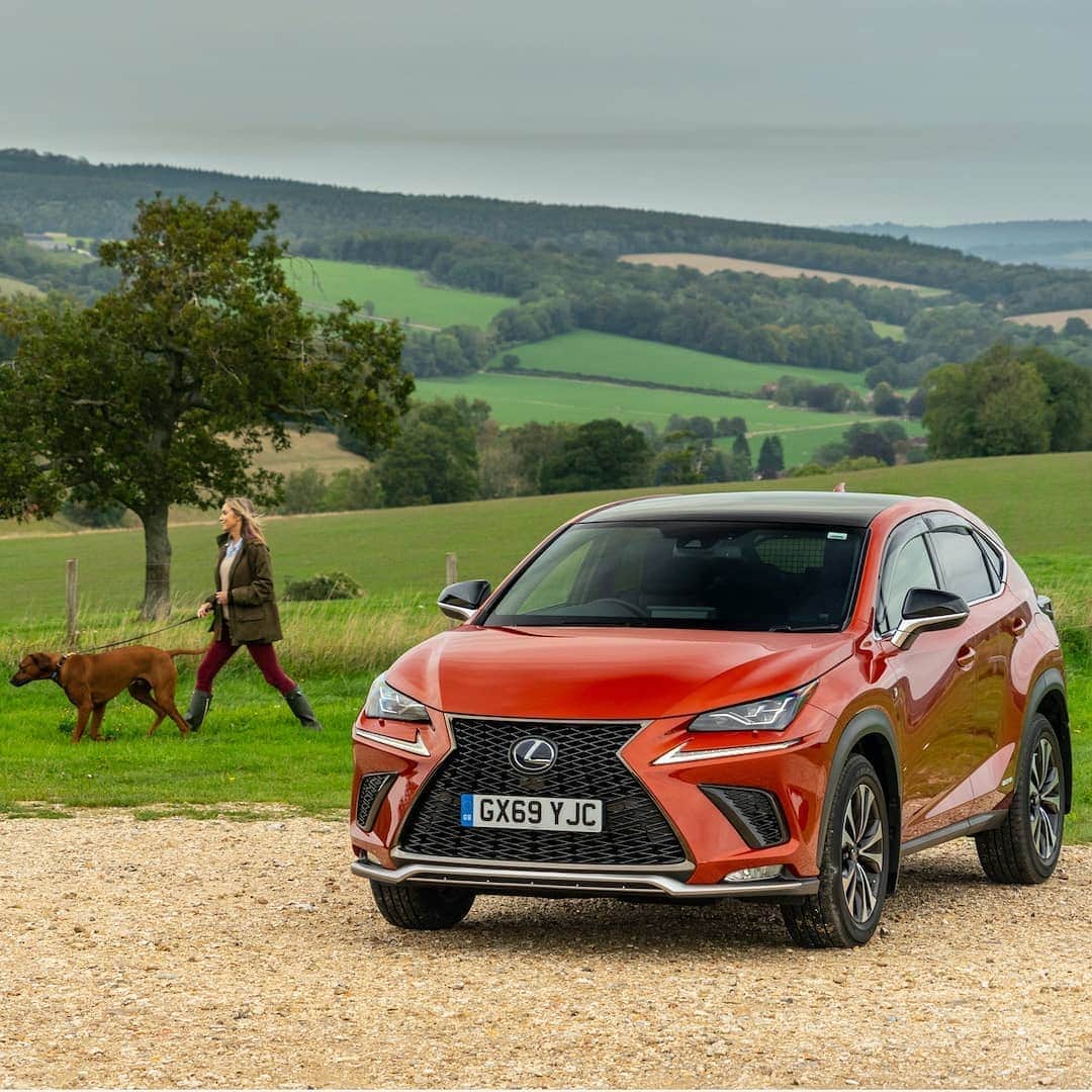 Lexus UKさんのインスタグラム写真 - (Lexus UKInstagram)「It's a dog's life... Our range of accessories for the #LexusNX are designed to keep your four-legged friend safe and your car pristine.  Click the link in our bio to learn more.  #Design #CarDesign #Automotive #Lexus #CarsofInstagram #LuxuryTravel #Luxury #Lexus #Dog #DogsofInstagram #DogWalking #RhodesianRidgeback @zulu_the_ridgeback_rules @tinekajane」9月25日 17時08分 - lexusuk