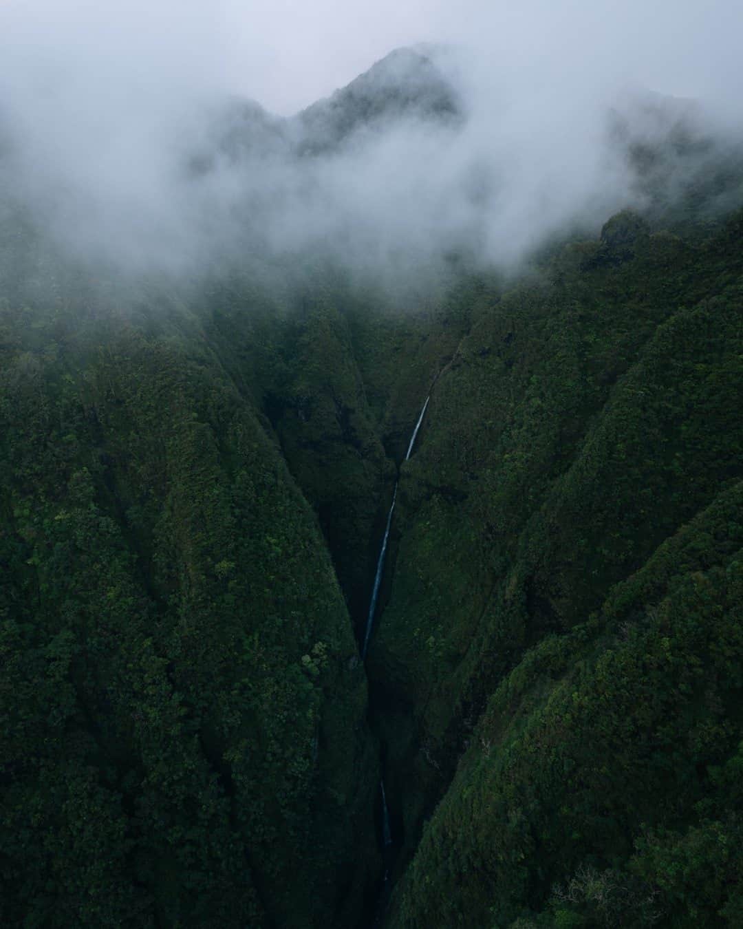 National Geographic Travelさんのインスタグラム写真 - (National Geographic TravelInstagram)「Photo by @max.lowe / In the depths of the mountains on the windward side of the island of Oahu, water falls from the jungle into a deep canyon. Sacred Falls, closed to all hikers and now only viewable via helicopter or plane, is one of the more visually stunning sites on the island. To see more from my time in Hawaii, follow @max.lowe.」9月25日 17時08分 - natgeotravel