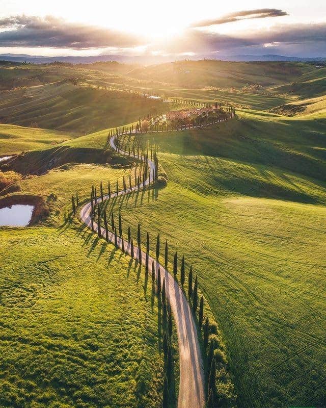 のインスタグラム：「. Loving how the sun hits these rolling green hills in Tuscany, Italy! I wonder where the cypress tree-lined road leads to.... #SeptemberMyWay  イタリア #トスカーナ の緑豊かな丘陵地✨ イトスギの並木がどこまでも続きます🌲 . . Photo by @stefanogera Post your memories with #FlyJAL  #JapanAirlines #italia #naturephotography」