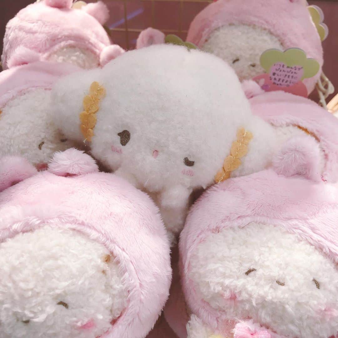 こぎみゅん（サンリオ）のインスタグラム：「みゅっしっしっし･･  今日から全国のサンリオショップで「うさぎさんとお友だち」グッズが発売スタートだみゅん！  ドキドキ･･♡ こぎみゅんも遊びに行ってきたみゅん･･！ こぎみゅんが考えたうさぎさんずきんのマスコットかわいかったみゅん♪ どれが本物のこぎみゅんだか分かるみゅん･･？  #サンリオ #キャラクター #小麦粉の妖精 #こぎみゅん #sanrio #character #cogimyun #うさぎさん #エビちゃん #サンリオショップ」