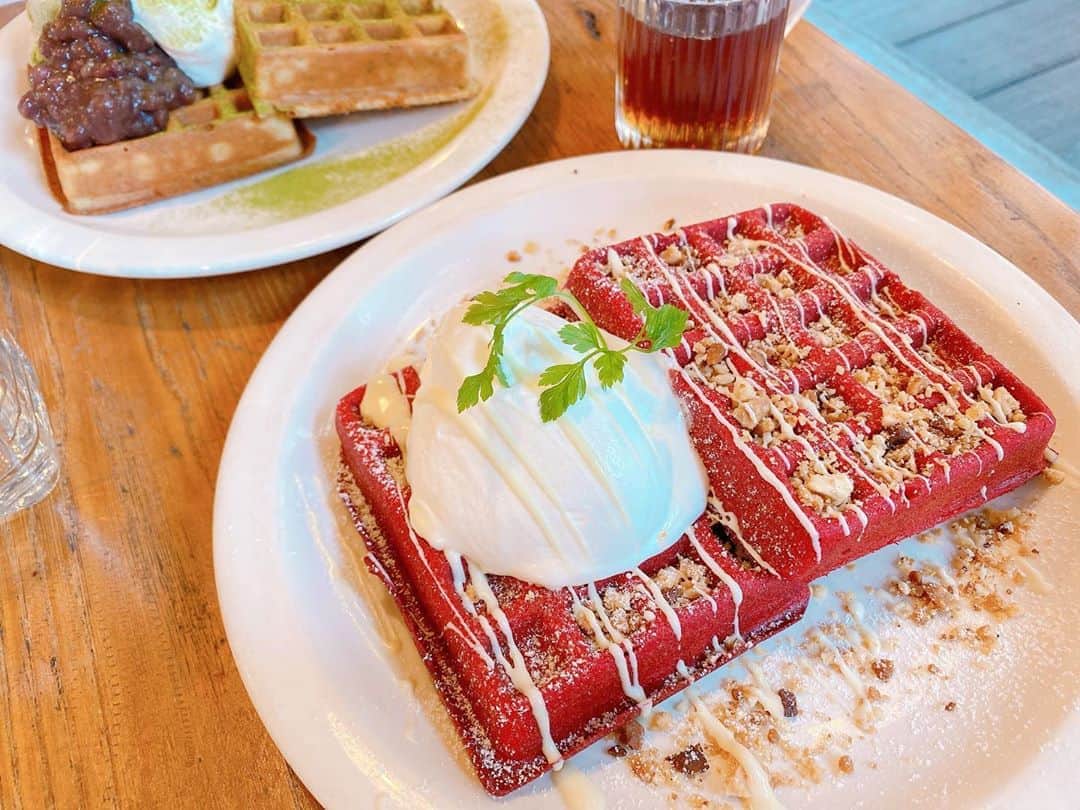 まんまるとまとのグルメインスタ