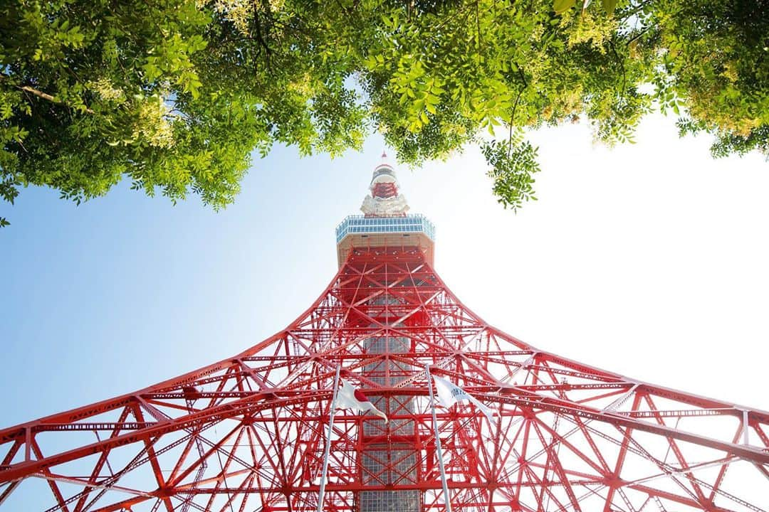 東京タワーの麓の結婚式のインスタグラム