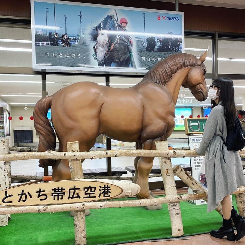 武田美憂のインスタグラム：「. はじめての北海道ーーー！！！ お馬さんとちゅー。phot by 今井さん♥︎ わーいわーい！ . #86brz #toyota #トヨタ86 #レース #race #十勝 #十勝スピードウェイ #レースクイーン #owltech #オウルテック」
