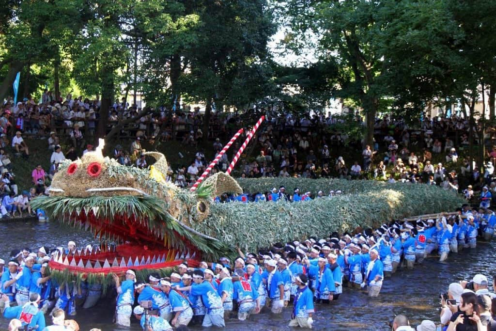 さいたまつりのインスタグラム：「【🏮埼玉の祭りハイライト🏮 〜「脚折雨乞」〜】﻿ 「脚折雨乞」は、江戸時代から伝わる雨乞い行事☔﻿ 現在は4年に一度行われており、2005年には国選択無形民俗文化財に指定されています！﻿ 長さ36ｍ、重さ3ｔもの巨大な「龍神」が300人の男たちに担がれ、池の中で大暴れする姿は圧巻です🐉✨﻿ 　﻿ ===﻿ 1枚目、2枚目の写真は、大迫力の「龍神」の様子。担ぎ手が叫びながら「龍神」を池の中で暴れさせます！﻿ 　﻿ 3枚目、4枚目は練り歩きの様子。は300人程の男たちが「龍神」を担ぎ上げ、白鬚（しらひげ）神社から雷電池までの約2kmを歩きます☼﻿ ===﻿ 　﻿ 4年に一度、豪快な雨乞いが見られる「脚折雨乞」をぜひ現地で楽しみましょう﻿ う！﻿ 　﻿ ＊＊＊﻿ 2020年度の「脚折雨乞」は、新型コロナウイルス感染拡大防止のため中止となりました。﻿ 公式サイト　https://www.city.tsurugashima.lg.jp/page/page000489.html﻿ さいたまつりページ　https://www.saitamatsuri.jp/matsuri/suneoriamagoi/﻿ #脚折雨乞 #さいたまつり #埼玉 #saitama #saitamatsuri #japan #祭 #matsuri #festival」