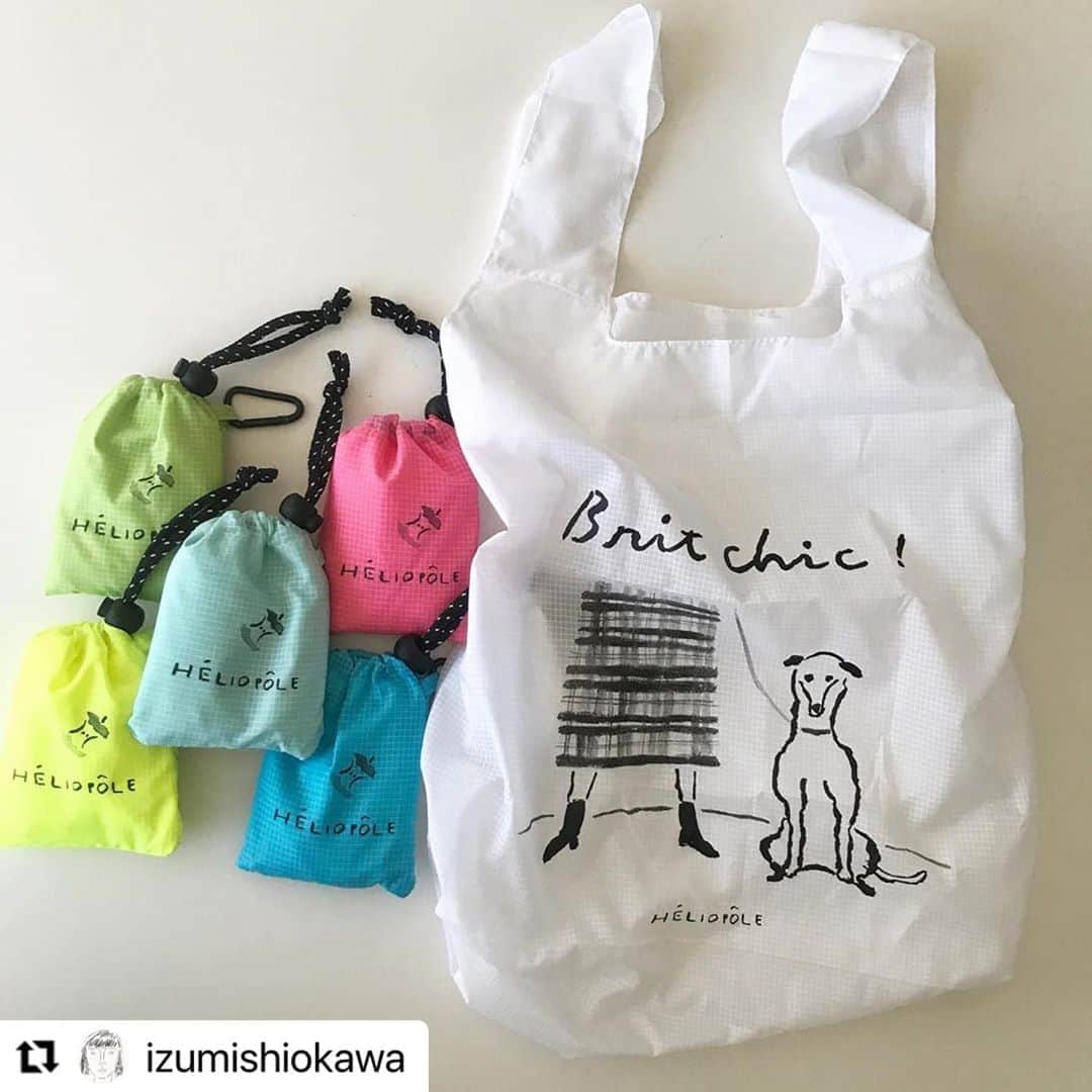 エリオポールのインスタグラム：「. 好評につき、残りわずかとなっております！ ぜひお早めにどうぞ。 . . . #Repost @izumishiokawa ・・・ . HÉLIOPÔLEの今シーズンのテーマは“Brit chic! ” イラストを描かせていただきました。 . プレゼントのエコバッグもかわいく作っていただいています。とても軽くて小さくなるナイロン製なのでかばんに忍ばせておけて便利ですよ。 . #Repost @heliopole_official with @get_repost ・・・ . Brit chic! 9.4.fri.-10.4.sun. . イラストレーター 塩川いづみさんの描いたウィペットというイギリス犬Paul（ポール）がモチーフ。穏やかだけど、食いしん坊で走ることが大好き。お座りをした姿も可愛らしく、ぜひお買物のお供にどうぞ。 . . PRESENT 全店舗・online storeにて¥20,000（税抜）以上をお買い上げのお客さまに、人気イラストレーター塩川いづみさんとコラボレーションしたカラビナ付きエコバッグをプレゼントいたします！ ＊なくなり次第終了となります。 ＊HÉLIOPÔLE10 店は対象外となります。 . . 塩川いづみ:  イラストレーター。長野県生まれ。広告、書籍、雑誌、プロダクトのイラストレーションを中心に活動するほか、作品の展示発表も行う。 . . . #HELIOPOLE #エリオポール #britchic #IzumiShiokawa #2020aw #autumnwinter #selectshop #fashion #style #british #britishstyle #dog #whippet」