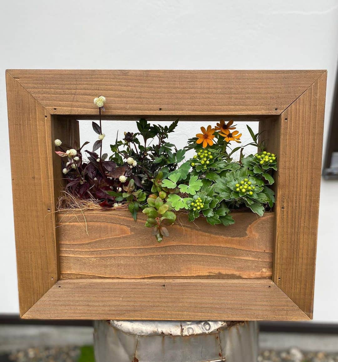 MILLE ECLAT.のグルメインスタ