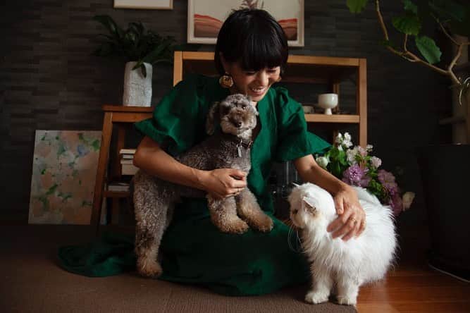 早坂香須子さんのインスタグラム写真 - (早坂香須子Instagram)「動物愛護週間中、 朝日新聞 @sippo_official ではチャリティイベントを開催してます。  今年はなこちゃんもオンライン写真展に登場させて頂きました。  今夜20:30からは 4匹の保護犬を家族に迎え、個人で野犬保護活動もされているパーソナルスタイリスト大日方久美子さん、sippo編集の小見山友子さんとYouTube対談ライブをお送りします。 @kumi511976  @tomokokomiyama   YouTube のコメント欄を通じて、質問や感想も書き込んで頂けるそうですので、ぜひライブで観ていただけると嬉しいです💓  それでは後ほど！ なこダンも登場予定です🐱🐶  写真 Jody Asano @jodyasanostudio  #みんなイヌみんなネコ」9月25日 19時34分 - kazukovalentine