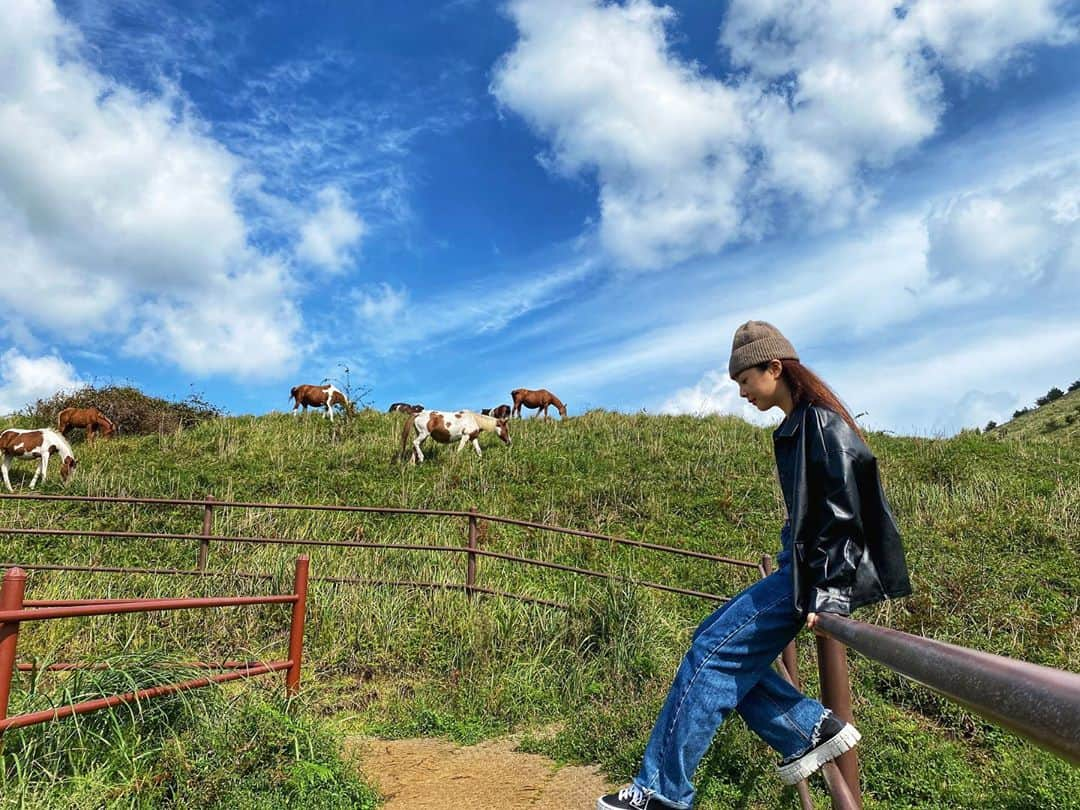 ユ・ボファさんのインスタグラム写真 - (ユ・ボファInstagram)「제주5일차💙 동키한테 물린적이 있어서 말을 무서워하게됨😅 저 멀리있던 말들이 내가 있을때 갑자기 몰리게됨.. 하늘도 날씨도 말도(?)예뻤다💕  아 그리고!오늘 #보화맛집 추천은 구좌읍 세화쪽에 #하도댁흑돼지두루치기 꼭 드셔보세요🙌🏻  #보화투어 #용눈이오름 #제주여행」9月25日 19時54分 - yoobohwa