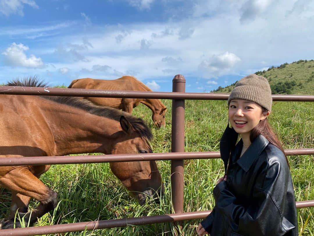 ユ・ボファさんのインスタグラム写真 - (ユ・ボファInstagram)「제주5일차💙 동키한테 물린적이 있어서 말을 무서워하게됨😅 저 멀리있던 말들이 내가 있을때 갑자기 몰리게됨.. 하늘도 날씨도 말도(?)예뻤다💕  아 그리고!오늘 #보화맛집 추천은 구좌읍 세화쪽에 #하도댁흑돼지두루치기 꼭 드셔보세요🙌🏻  #보화투어 #용눈이오름 #제주여행」9月25日 19時54分 - yoobohwa