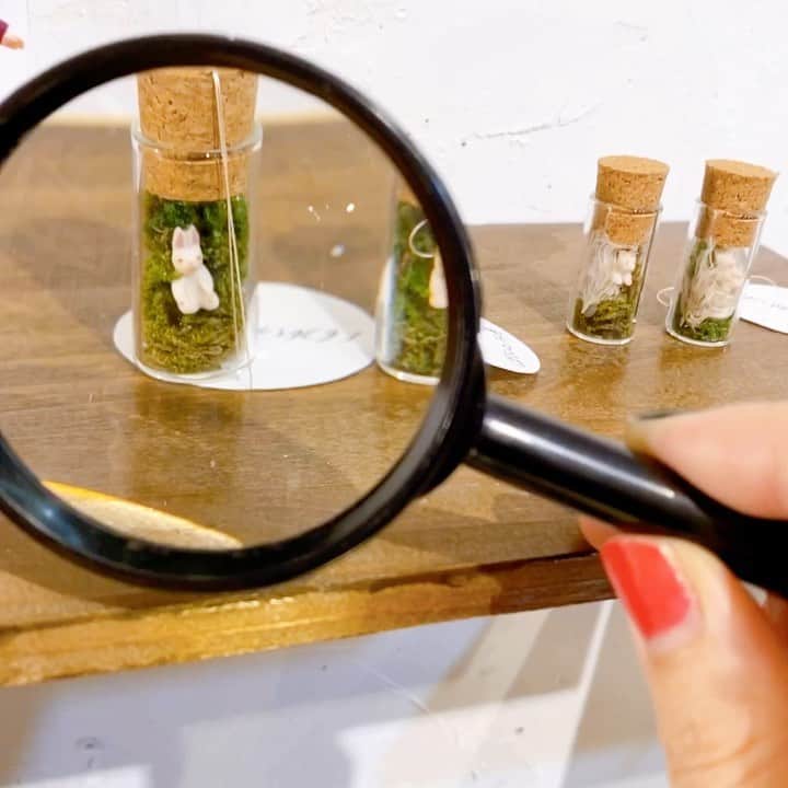 北岸由美のグルメインスタ