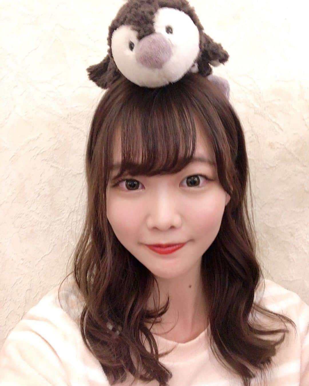 齋藤佳穂のインスタグラム：「白鳩さんのパジャマいただきました🐧 ふわふわ〜とってもお気に入り💫  #白鳩 #shirohato #パジャマ #パジャマパーティー #パジャマコーデ #パジャマ女子 #パジャマ女子会 #お泊り #ぬいぐるみ #ペンギン」