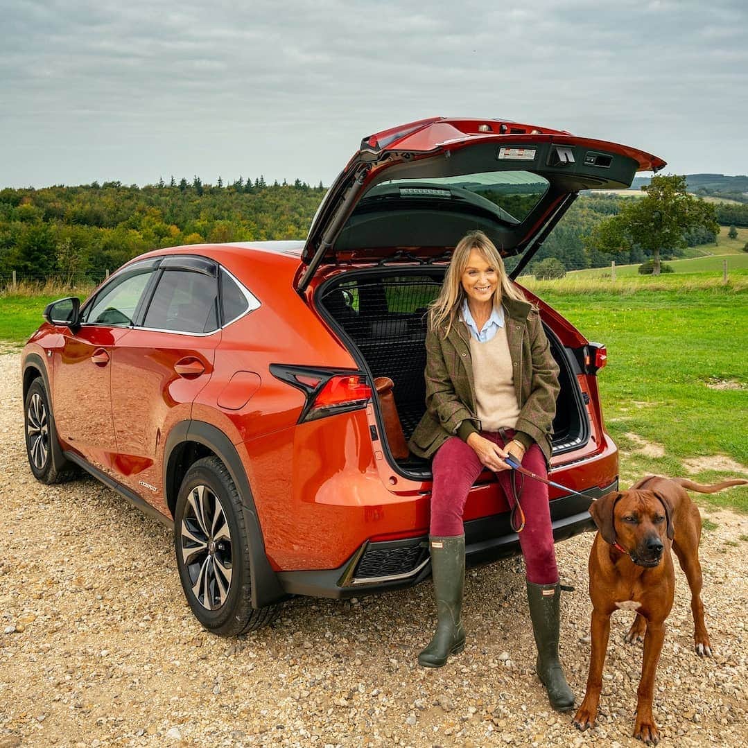 Lexus UKさんのインスタグラム写真 - (Lexus UKInstagram)「Taking your four-legged friend for a walk this weekend? The dog guard, available on the #LexusNX, is a handy accessory that helps owners to transport their dog in comfort and safety.   It’s essentially a barrier between the boot and the passenger compartment, which prevents your dog from disturbing you while you are driving.  It comes with a boot divider that separates the animal from any heavy or sharp luggage that you may be carrying, helping to stop your pet from getting injured during the journey.  Click the link in our bio to learn more about LexusNX accessories.  #Design #CarDesign #Automotive #Lexus #CarsofInstagram #LuxuryTravel #Luxury #Lexus #Dog #DogsofInstagram #DogWalking #RhodesianRidgeback @zulu_the_ridgeback_rules @tinekajane」9月25日 21時05分 - lexusuk