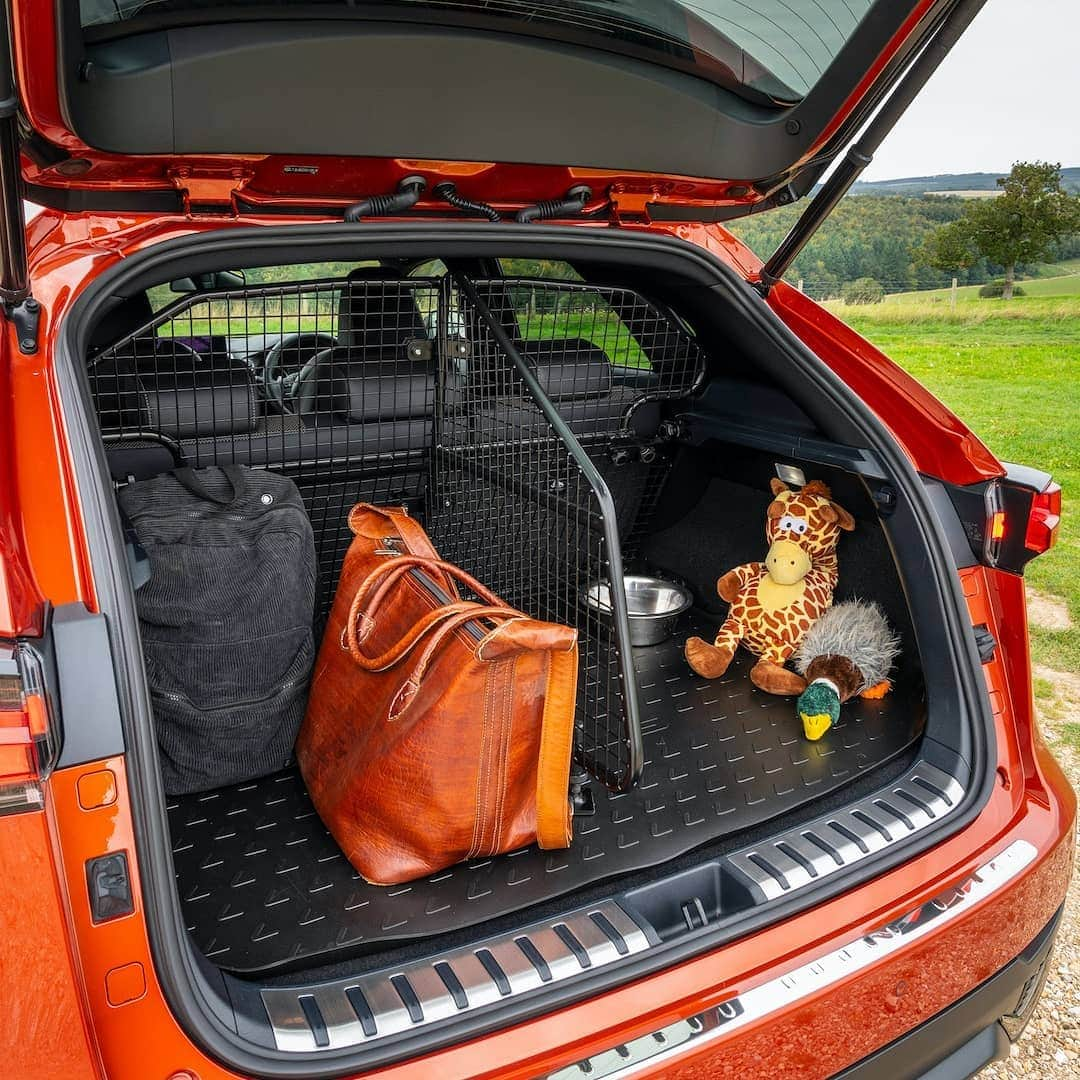 Lexus UKさんのインスタグラム写真 - (Lexus UKInstagram)「Taking your four-legged friend for a walk this weekend? The dog guard, available on the #LexusNX, is a handy accessory that helps owners to transport their dog in comfort and safety.   It’s essentially a barrier between the boot and the passenger compartment, which prevents your dog from disturbing you while you are driving.  It comes with a boot divider that separates the animal from any heavy or sharp luggage that you may be carrying, helping to stop your pet from getting injured during the journey.  Click the link in our bio to learn more about LexusNX accessories.  #Design #CarDesign #Automotive #Lexus #CarsofInstagram #LuxuryTravel #Luxury #Lexus #Dog #DogsofInstagram #DogWalking #RhodesianRidgeback @zulu_the_ridgeback_rules @tinekajane」9月25日 21時05分 - lexusuk